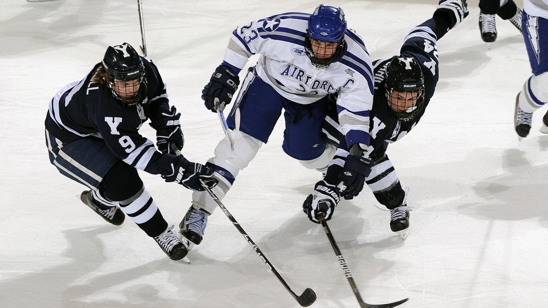 体育新闻中心通告校园体育创新案例征集计划，校园体育新闻报道