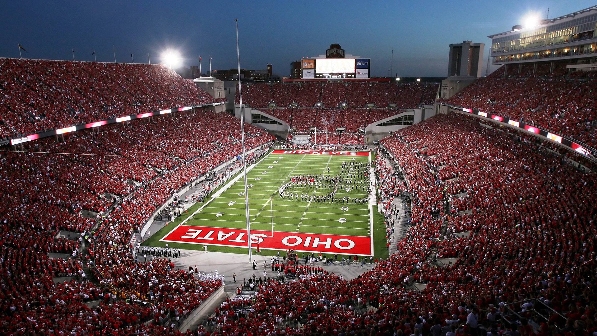 张伟丽获评最佳技术型选手，张伟丽技术特点分析